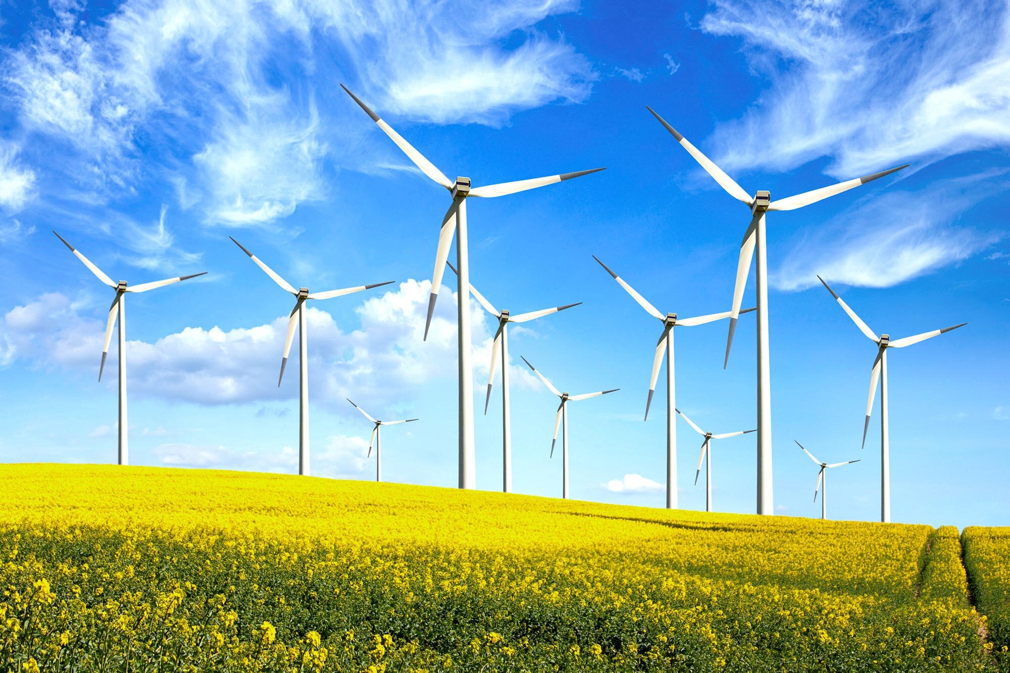 Windkraft | © AdobeStock_188004551 Bild von Windraedern | © AdobeStock_188004551