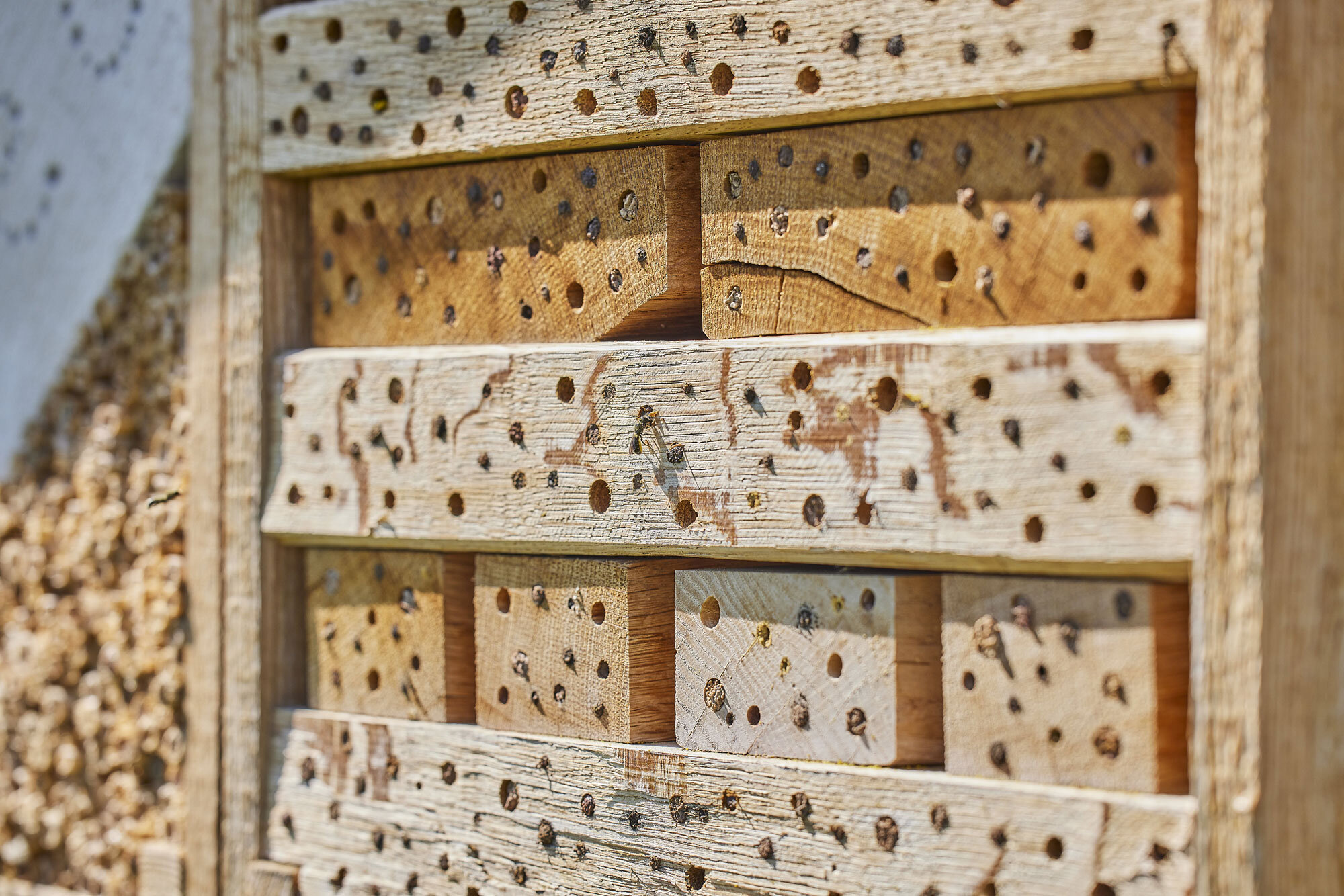 Insektenhotel Zoom | © Brugger GmbH Insektenhotel Zoom | © Brugger GmbH