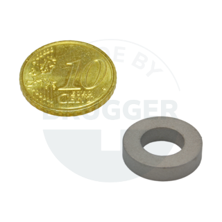 Ringmagnet aus Samarium Cobalt | © Brugger GmbH